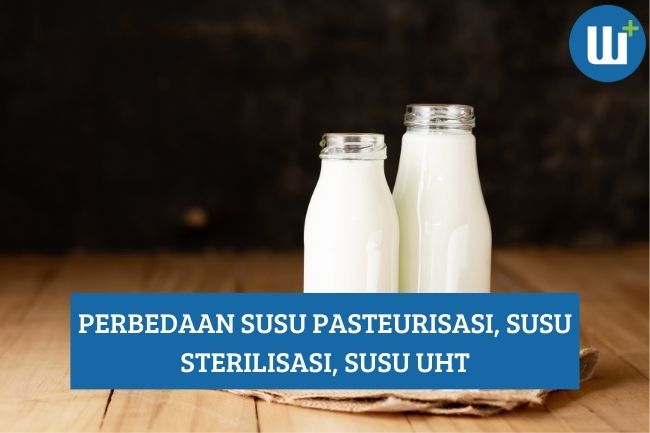 Kenali Perbedaan Susu Pasteurisasi, Susu Sterilisasi, dan Susu UHT